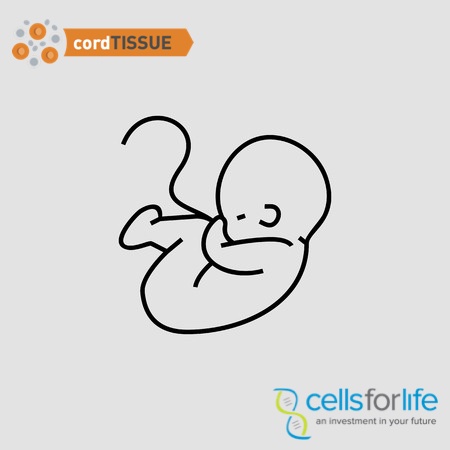 Everything You Need To Know About Umbilical Cord Tissue