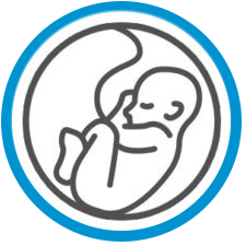 Registry Logo 5 CFL