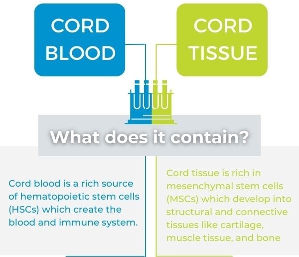 What do cord blood and cord tissue contain?