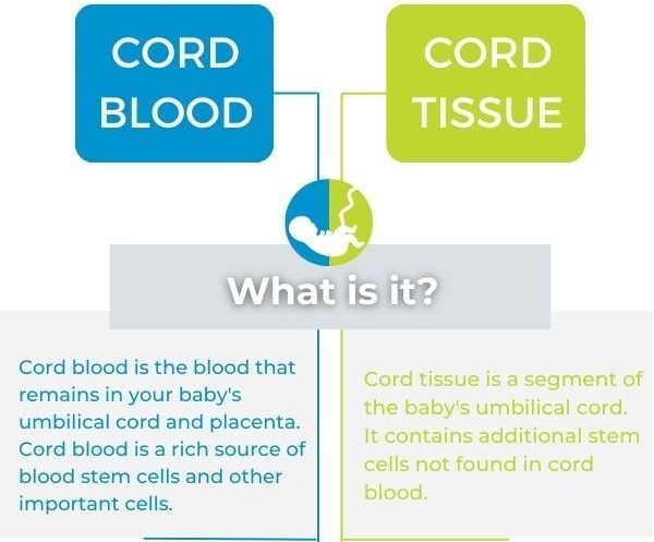 what is cord blood and cord tissue