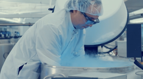 What’s the process of a cord blood sample release?